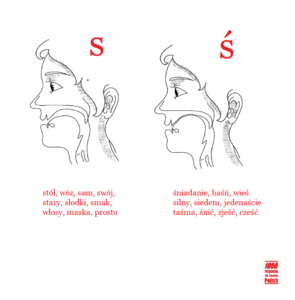 A1, Polish pronunciation for beginners, in English