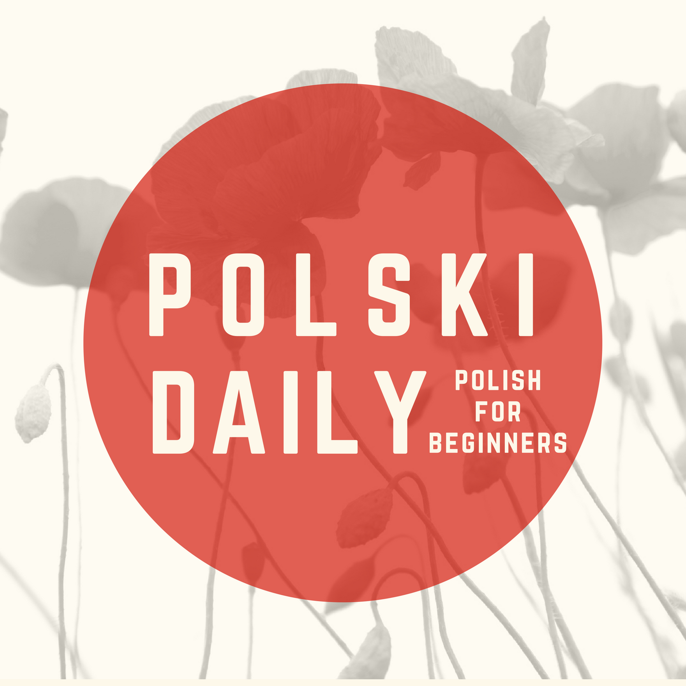 Polish Podcast for Beginners