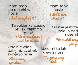 B1, Frazeologizmy ze słowem “nos”