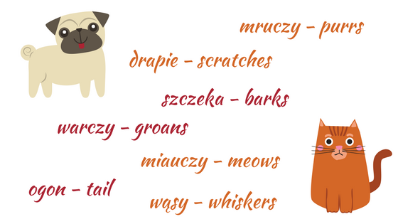 pets in Polish