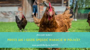 wakacje w polsce