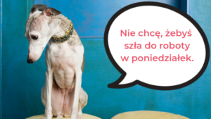 What are the most common colloquial words in Polish?