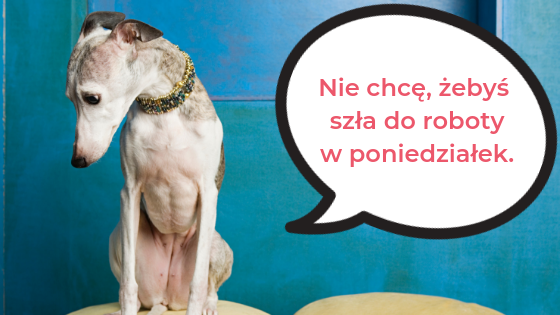 polish colloquial words