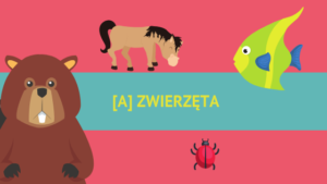 [A] Zwierzęta / Animals