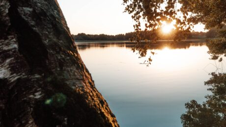 Mazury and Bory Tucholskie lakes are the treasure of Poland